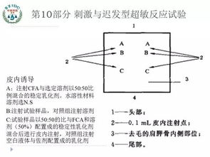 一文看懂醫療器械生物相容性檢測